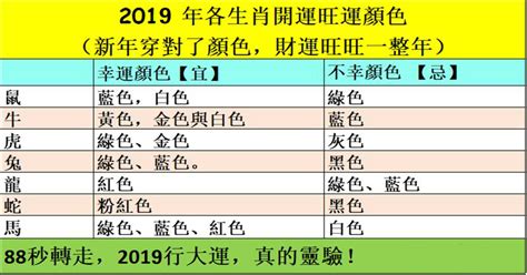 生肖買 車 顏色|十二生肖車輪：根據您的星座找到您完美的汽車顏色